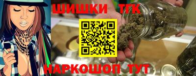 МДПВ Новозыбков