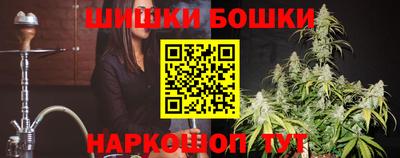 МДПВ Новозыбков