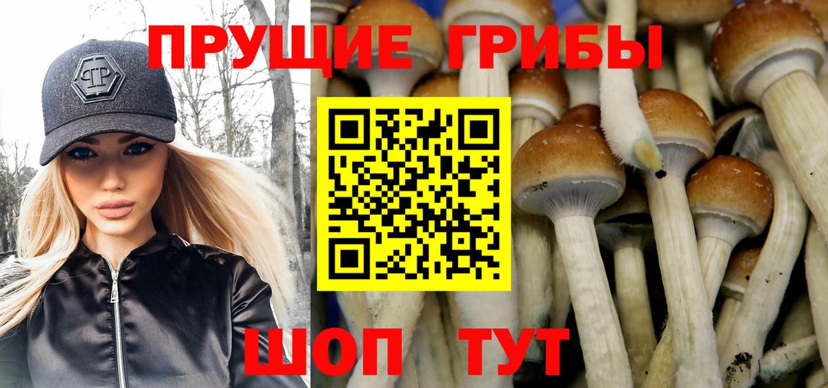 Галлюциногенные грибы Magic Shrooms  Вход с VPN  Славгород 
