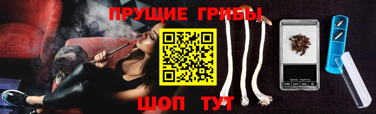 Псилоцибиновые грибы мицелий Славгород